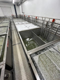 Cheese Brine Vats with Racks