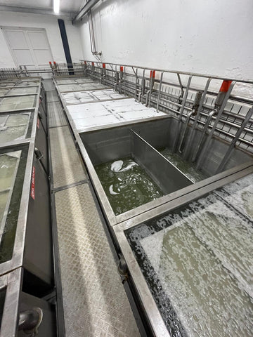 Cheese Brine Vats with Racks