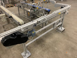 Stainless Steel Modular Conveyor with swing